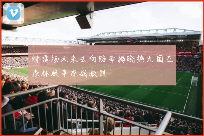 特雷杨未来去向赔率揭晓热火国王森林狼争夺战激烈