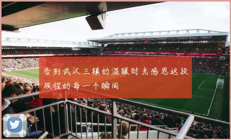 告别武汉三镇的温暖时光感恩这段旅程的每一个瞬间